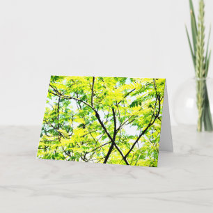 Tree Canopy Pop Art Kaart