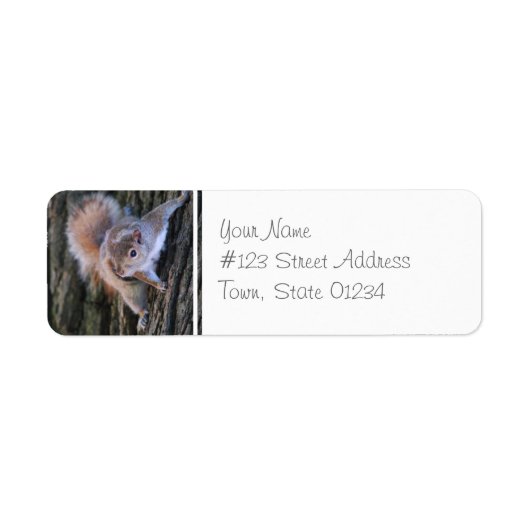 Tree Eekhoorn Mailing Labels (Voorkant)