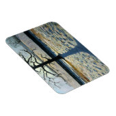 Tree en Shadow Calke Abbey Derbyshire Magneet (Rechterzijde)