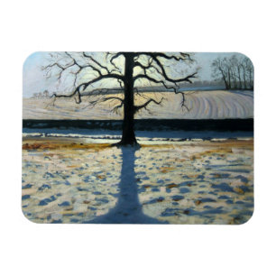 Tree en Shadow Calke Abbey Derbyshire Magneet