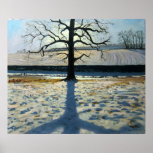 Tree en Shadow Calke Abbey Derbyshire Poster