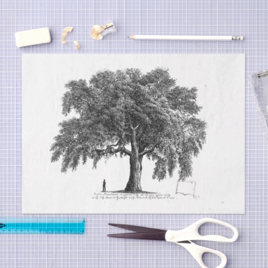  Tree Ephemera Decoupage Tissuepapier (Craft)