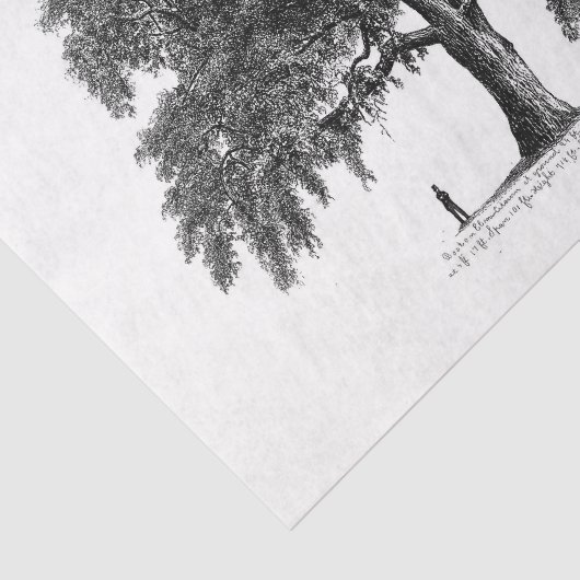 Tree Ephemera Decoupage Tissuepapier (Detail)
