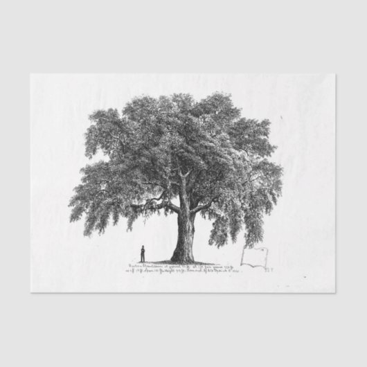 Tree Ephemera Decoupage Tissuepapier (Voorkant)