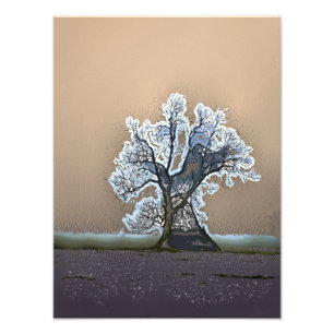 TREE FOTO AFDRUK