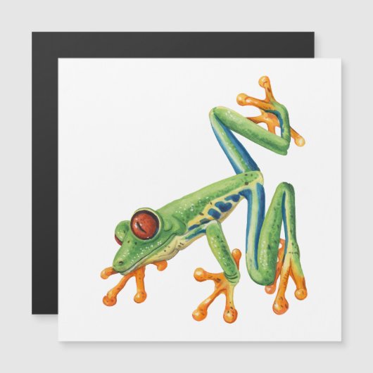 Tree Frog (Voorkant / Achterkant)