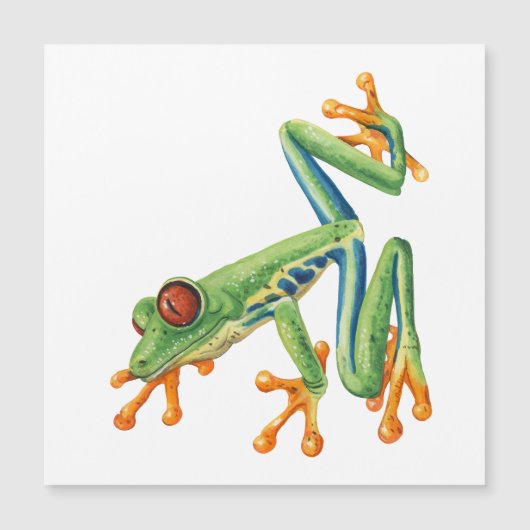 Tree Frog (Voorkant)