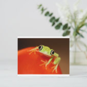 tree frog briefkaart (Staand voorkant)