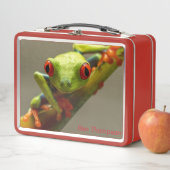 Tree Frog die je naam bekijkt (In situ)