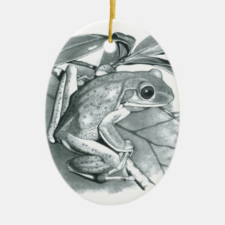 Tree Frog Keramisch Ornament