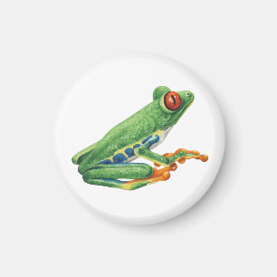 Tree Frog Magneet