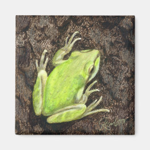 Tree Frog Magnet - "Envy Green" Magneet