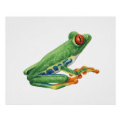 Tree Frog Perfect Poster (Voorkant)