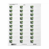 Tree Frog retourlabels Etiket (Full Sheet)