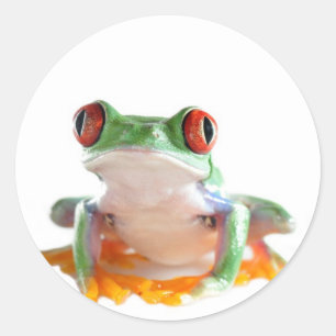 tree frog ronde sticker