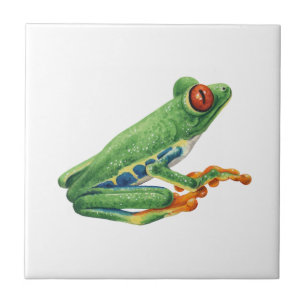 Tree Frog Tegeltje