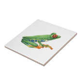 Tree Frog Tegeltje (Zijkant)