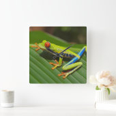 Tree Frog Vierkante Klok (Huis)