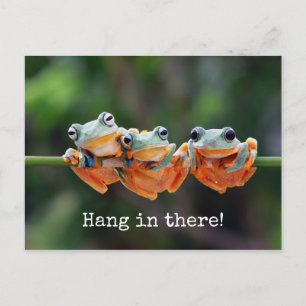 Tree Frogs Trio - Hang in There Carte postale
