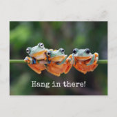 Tree Frogs Trio - Hang in There Carte postale (Devant)