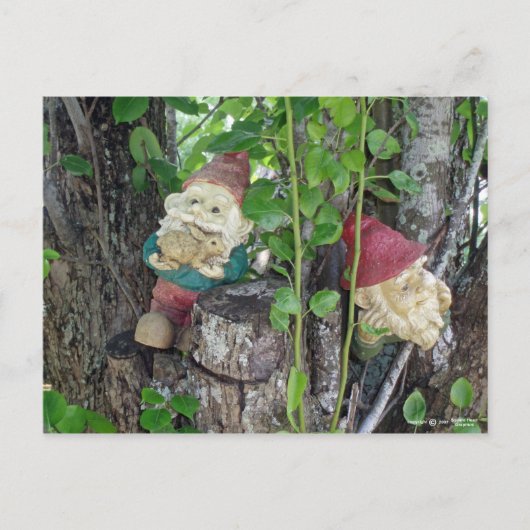 TREE GNOMES BRIEFKAART (Voorkant)