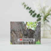 Tree Hanger Cache: Geocaching Briefkaart (Staand voorkant)