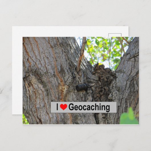 Tree Hanger Cache: Geocaching Briefkaart (Voorkant / Achterkant)
