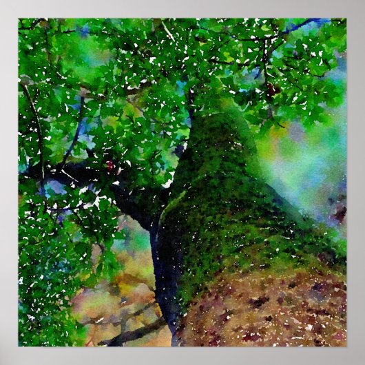 "Tree Hug" Semi-Gloss Square Poster (Voorkant)
