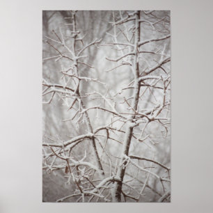 Tree in  a Snowstorm Poster
