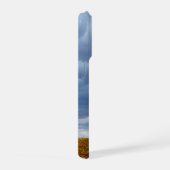 Tree in an empty field (Côté droit)