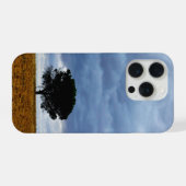 Tree in an empty field (Verso Horizontal)