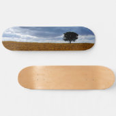 Tree in an empty field skateboard (Horizontaal)