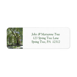 Tree in Spring Return Address Label