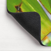 Tree Nymph Rice Paper Butterfly Mousepad Muismat (Hoek)