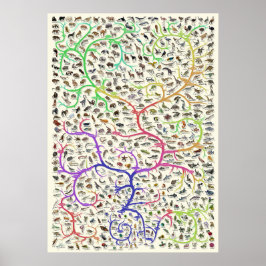 Tree of Life Darwinian Theory of Evolution Poster