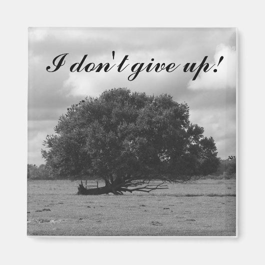 Tree of Life Vierkante magneet (Voorkant)