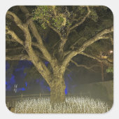 Tree of Lights Sticker (Voorkant)