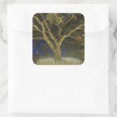 Tree of Lights Sticker (Tas)