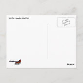 Tree Out of Red Rocks II at Canyonlands Briefkaart (Achterkant)