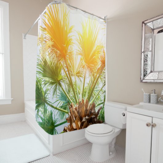 Tree palm bright sun summer background. tropical p douchegordijn (In situ)