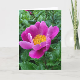 Tree Peony Blank Note Card Feestdagen Kaart