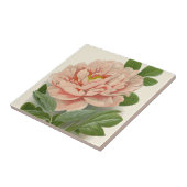 Tree Peony – Elegant  Botanisch Ontwerp Tegeltje (Zijkant)
