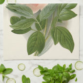 Tree Peony – Elegant Botanisch Ontwerp Theedoek (Gevouwen)