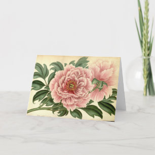 Tree Peony  Note Kaart