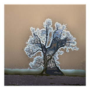 TREE PERFECT POSTER