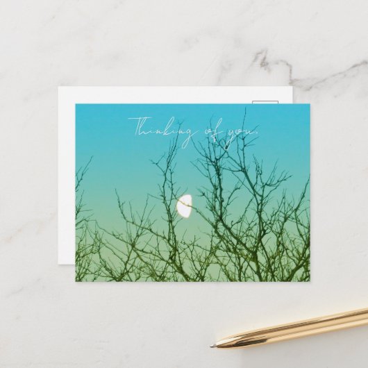 Tree Photography Briefkaart (Voorkant / Achterkant in situ)