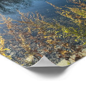 Tree Reflections Foto Poster (Hoek)