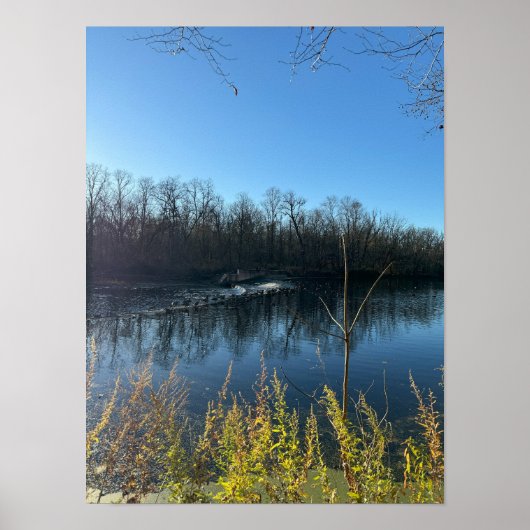 Tree Reflections Foto Poster (Voorkant)