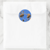 Tree Seed Pods Sticker (Tas)
