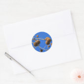 Tree Seed Pods Sticker (Envelop)